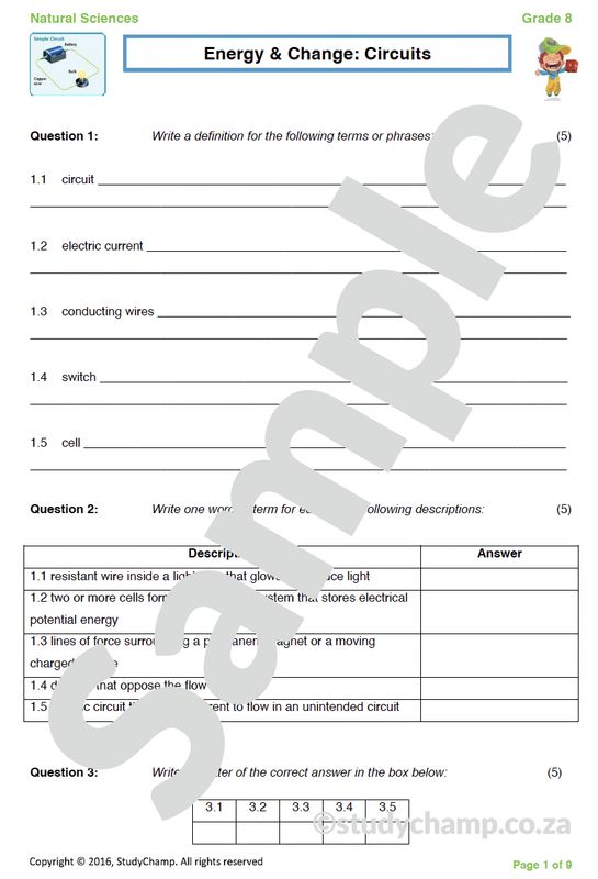 Grade 8 Natural Sciences Test: Electrical Circuits