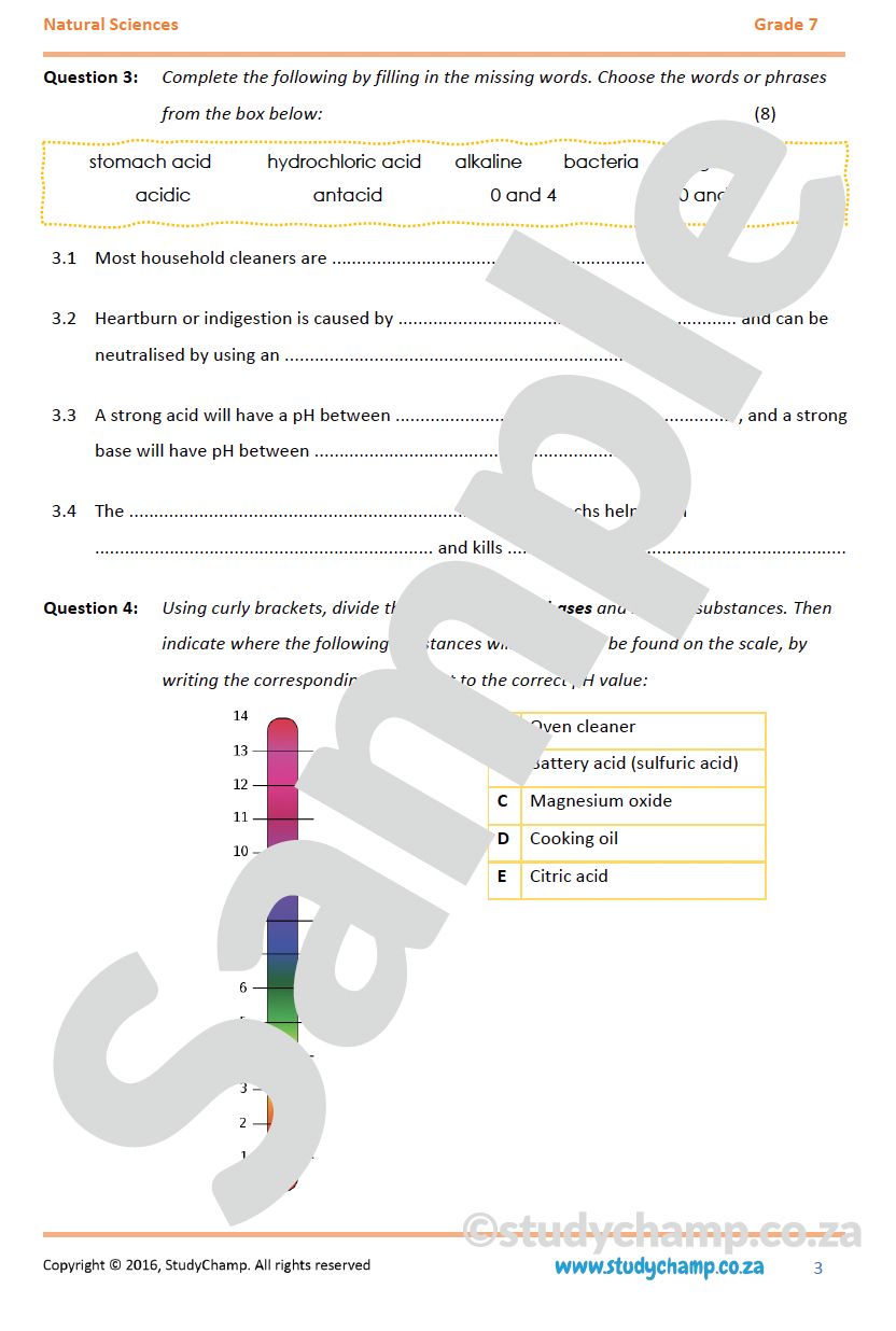 Grade 7 Natural Sciences Test: Acids, Bases and neutral substances