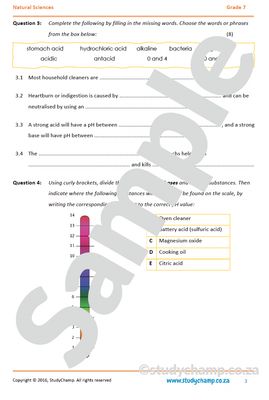 Grade 7 Natural Sciences Test: Acids, Bases and neutral substances