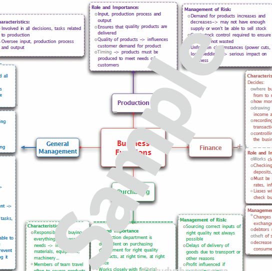 Grade 9 EMS Summary: Business Functions