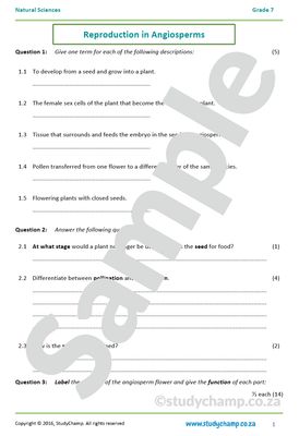 Grade 7 Natural Sciences Test: Angiosperm Reproduction
