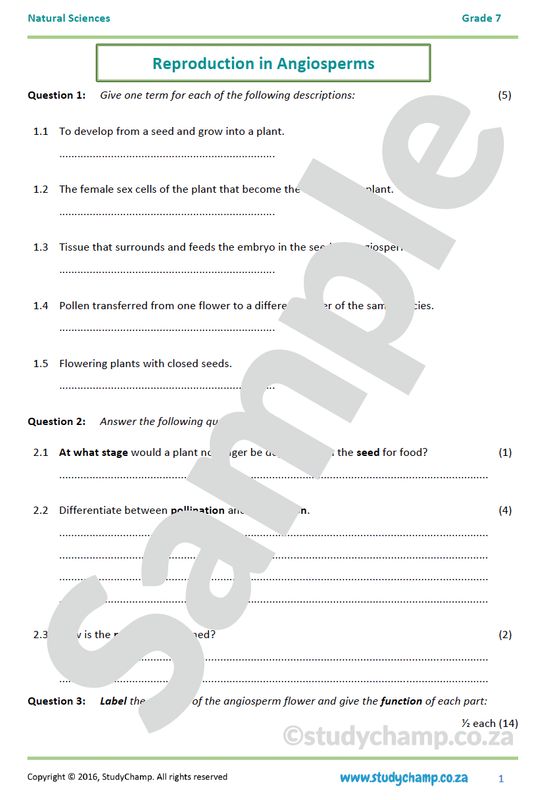 Grade 7 Natural Sciences Test: Angiosperm Reproduction