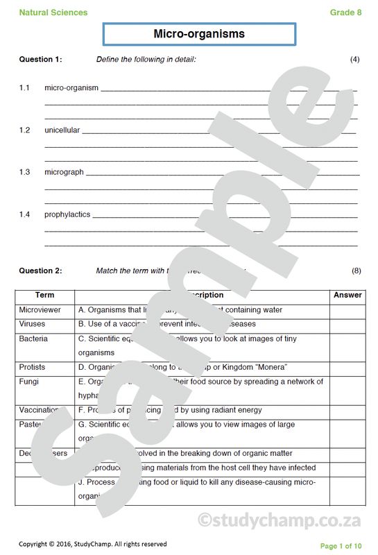 Grade 8 Natural Sciences Test: Micro-organisms
