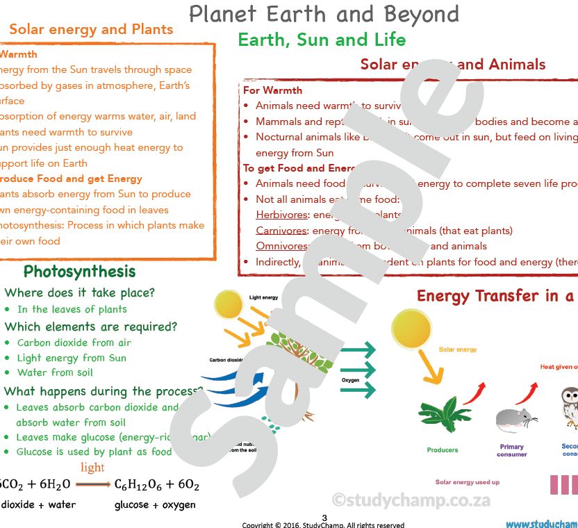 Grade 7 Natural Sciences Summary: Earth, the Sun and Life on Earth
