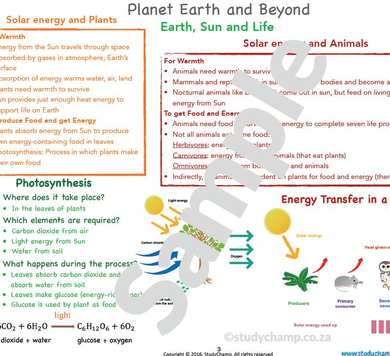 Grade 7 Natural Sciences Summary: Earth, the Sun and Life on Earth