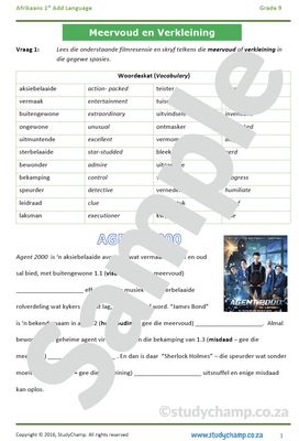 Grade 9 Afrikaans: Meervoud en Verkleining