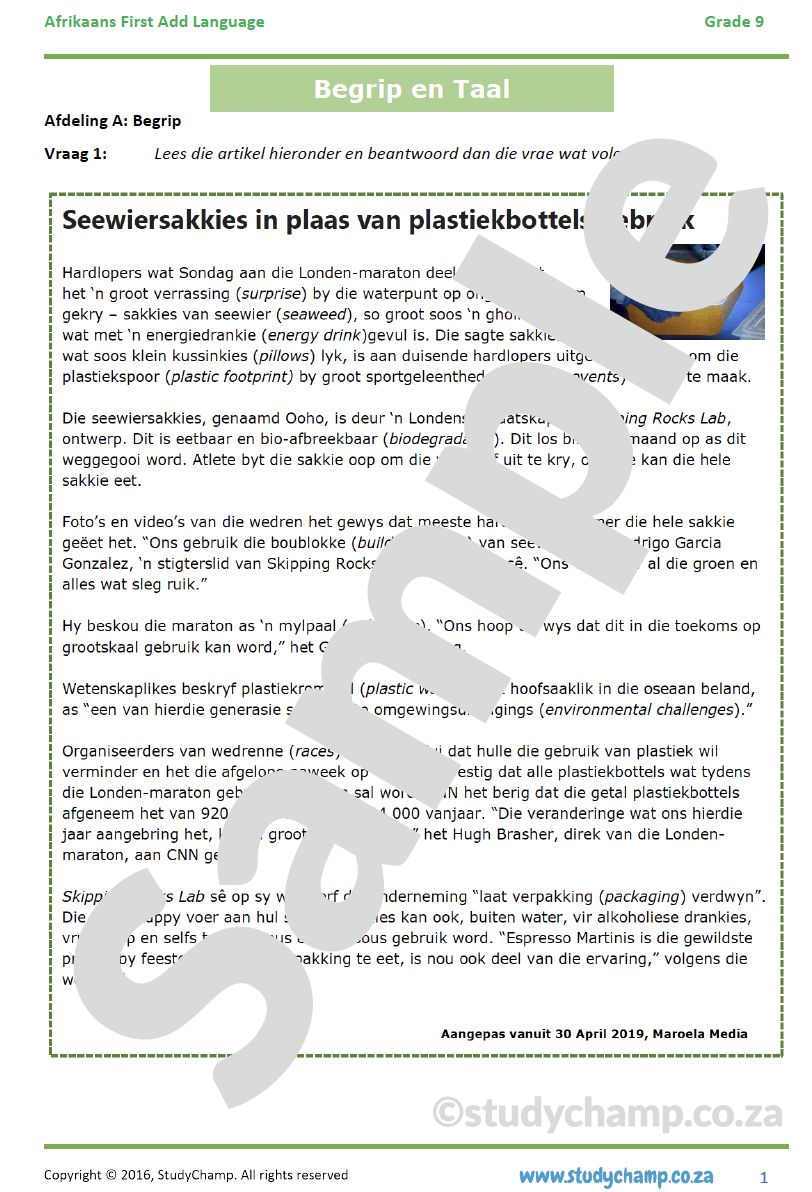 Grade 9 Afrikaans Mid-year Exam Revision: Begrip en Taal