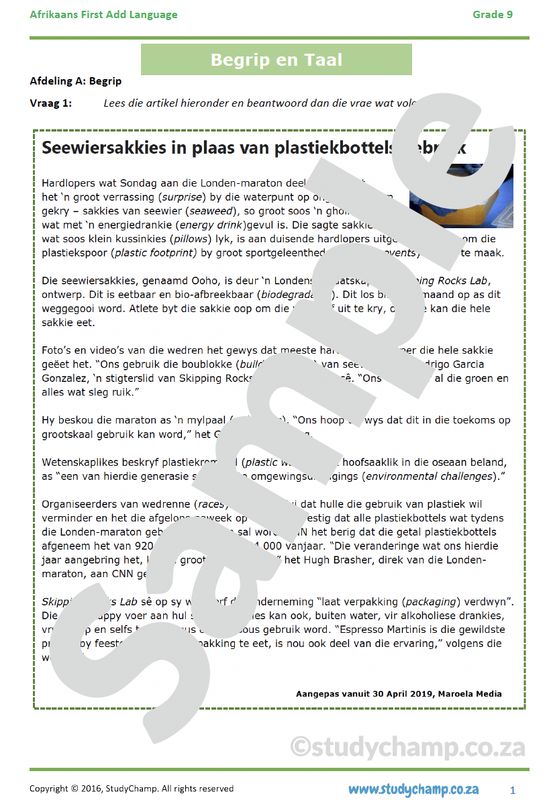 Grade 9 Afrikaans Mid-year Exam Revision: Begrip en Taal