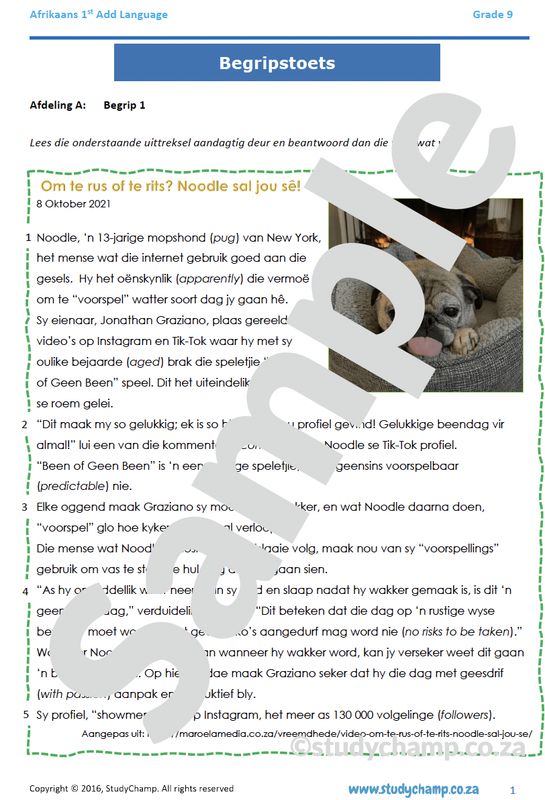 Grade 9 Afrikaans Year-end Exam Revision: Begrip en Taal