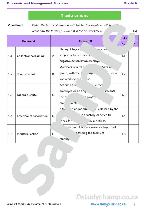 Grade 9 EMS Test: Trade Unions