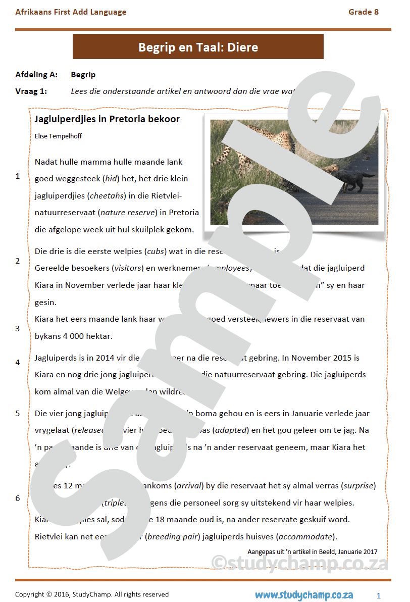Grade 8 Afrikaans Begrip en Taal: Diere