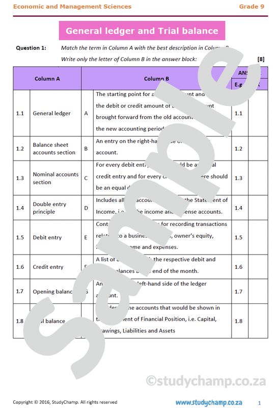Grade 9 EMS Test: General Ledger and Trial Balances