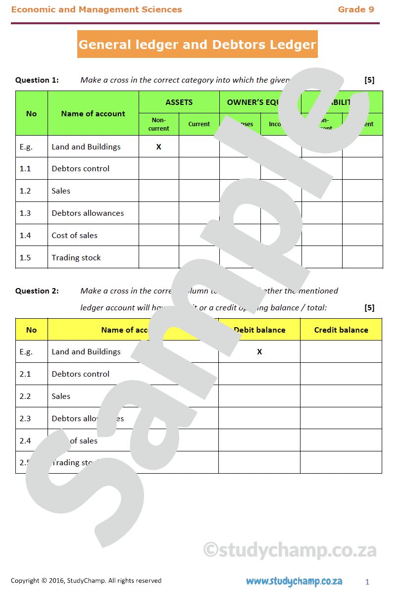 Grade 9 EMS Test: Debtors Ledger and General Ledger