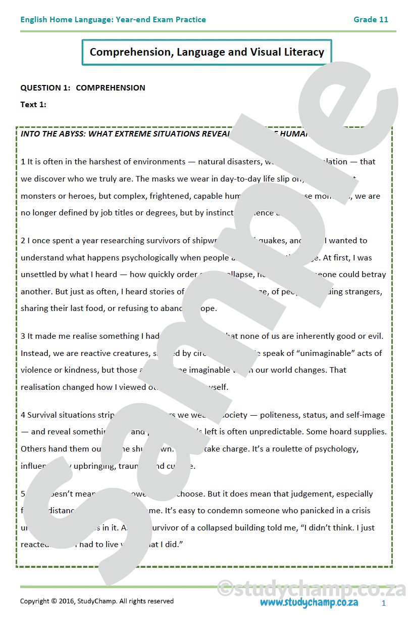 Grade 11 English Year-end Exam Revision: Comprehension, Visual Literacy and Language