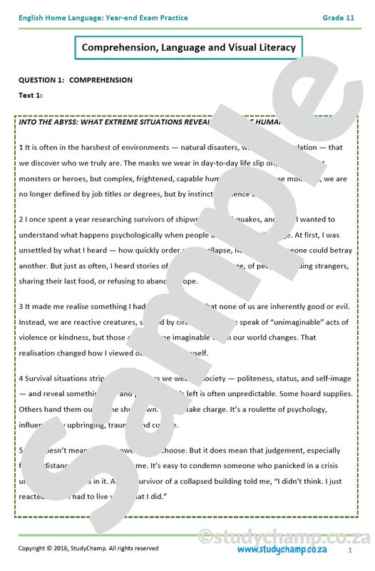 Grade 11 English Year-end Exam Revision: Comprehension, Visual Literacy and Language