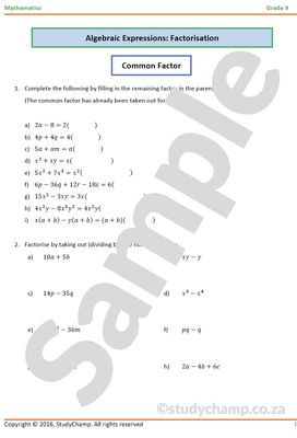 Grade 9 Mathematics Worksheet: Factorisation