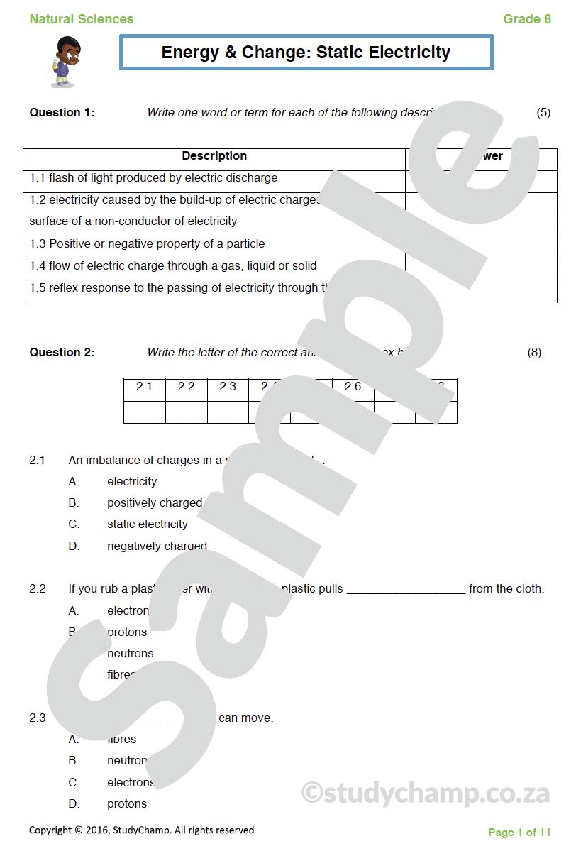 Grade 8 Natural Sciences Test: Static Electricity