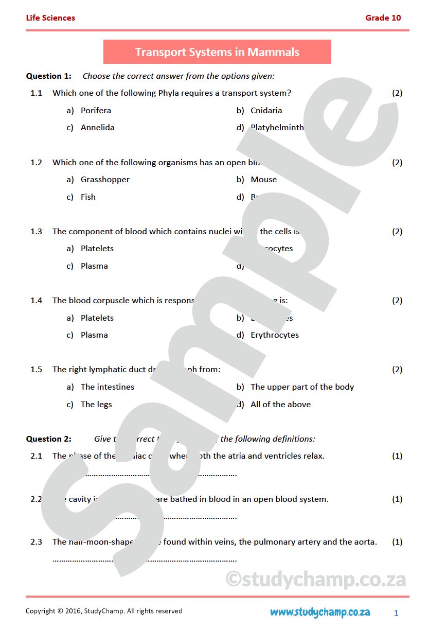 Grade 10 Life Sciences: Transport Systems in Mammals