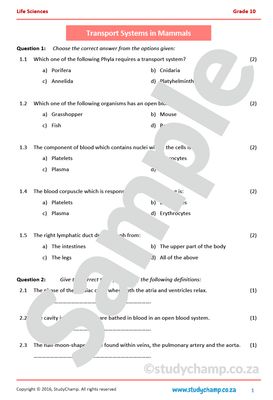Grade 10 Life Sciences: Transport Systems in Mammals