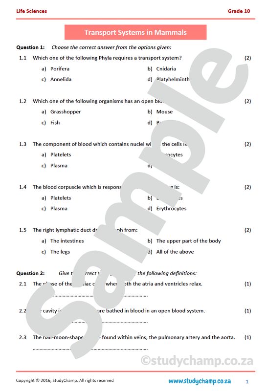 Grade 10 Life Sciences: Transport Systems in Mammals