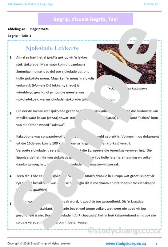 Grade 10 Afrikaans Mid-year Exam Revision: Begrip en Taal