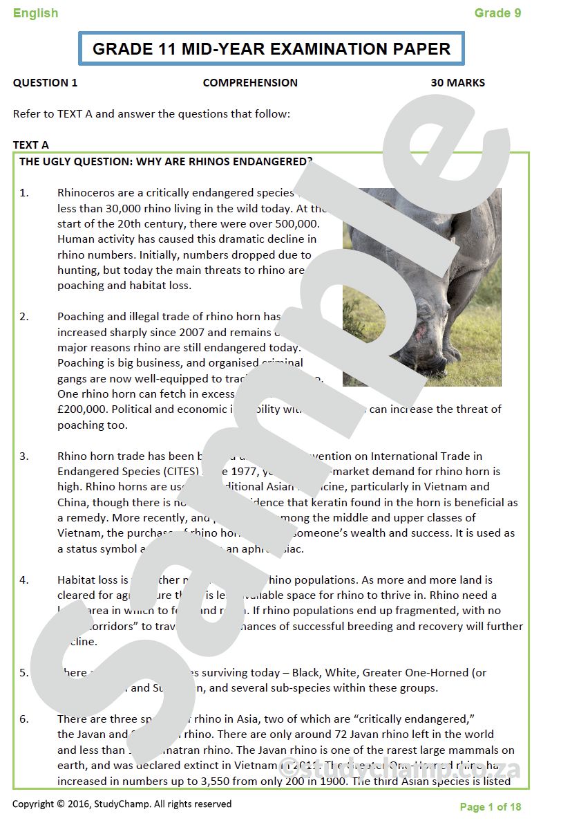 Grade 11 English Mid-year Exam Revision: Comprehension and Language