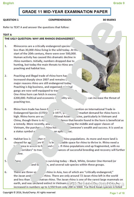 Grade 11 English Mid-year Exam Revision: Comprehension and Language