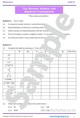 Grade 10 Mathematics Worksheet: Numbers and Expressions