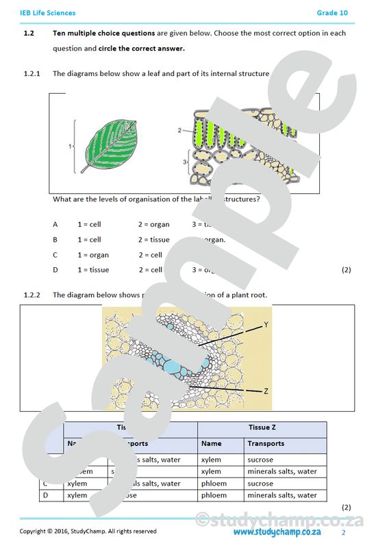 Grade 10 IEB Life Sciences Test: Life processes in plants and animals