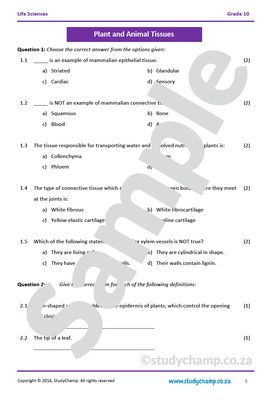 Grade 10 DOE Life Sciences: Plant Organs