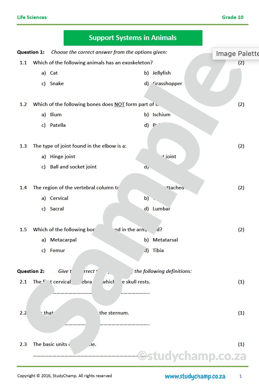 Grade 10 Life Sciences: Support Systems in Animals