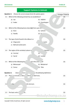 Grade 10 Life Sciences: Support Systems in Animals