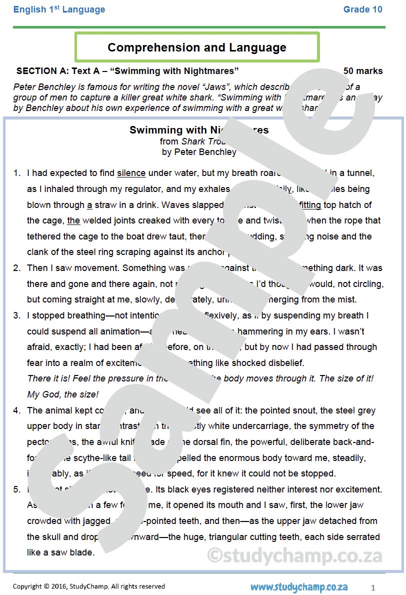 Grade 10 English Year-end Exam Revision: Comprehension and Language