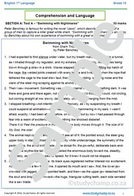 Grade 10 English Year-end Exam Revision: Comprehension and Language
