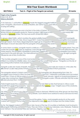 Grade 9 Mid-Year Exam Bundle