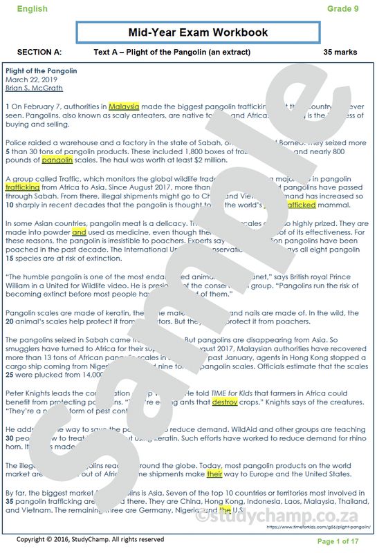 Grade 9 Mid-Year Exam Bundle