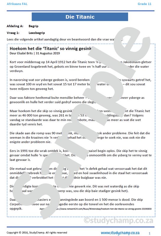 Grade 11 Mid-Year Exam Bundle