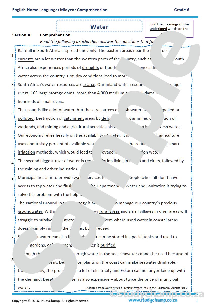 Grade 6 Mid-Year Exam Bundle