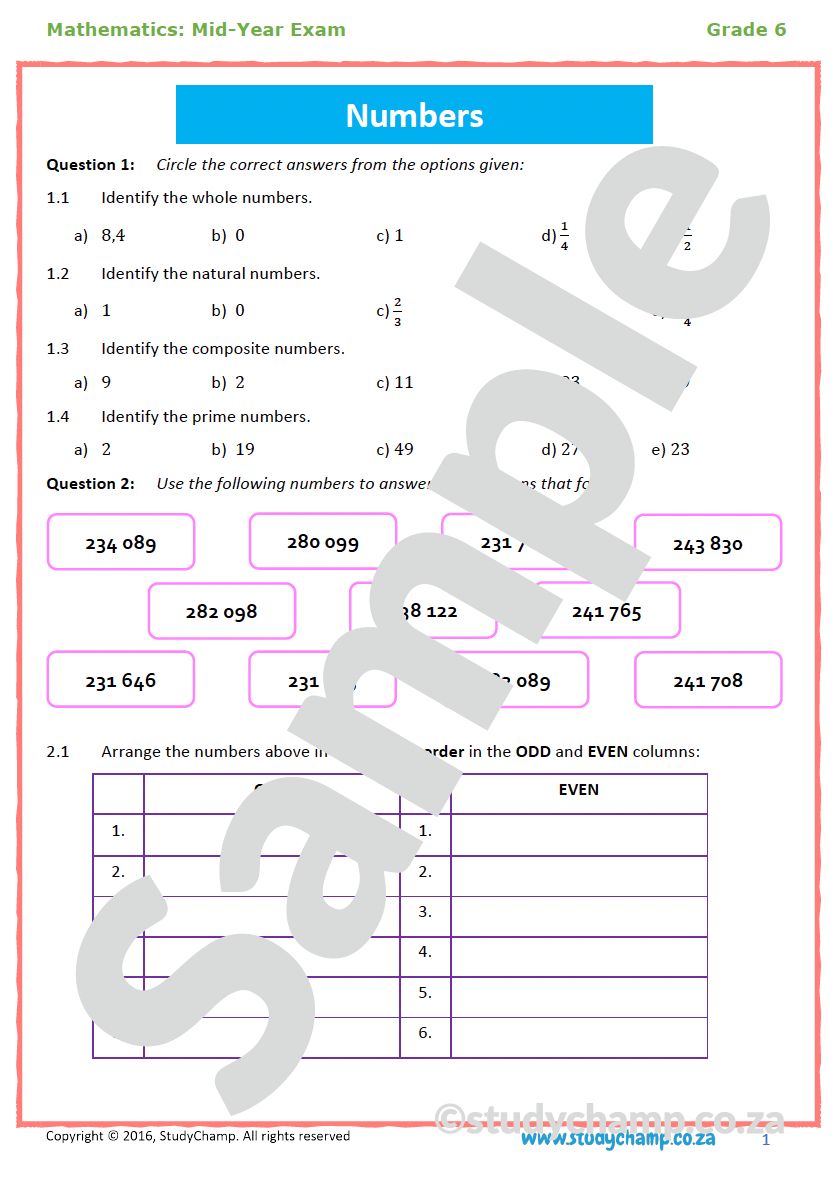 Grade 6 Mid-Year Exam Bundle