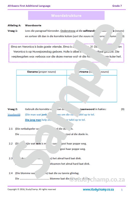Grade 7 Mid-Year Exam Bundle