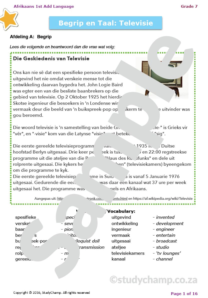 Grade 7 Year-end Exam Bundle