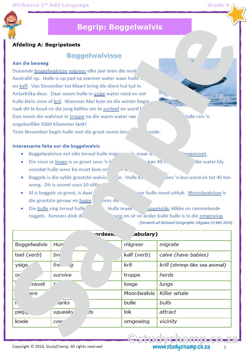 Grade 4 Afrikaans First Additional Language Bundle