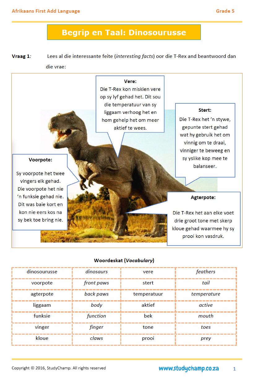 Grade 5 Afrikaans First Additional Language Bundle