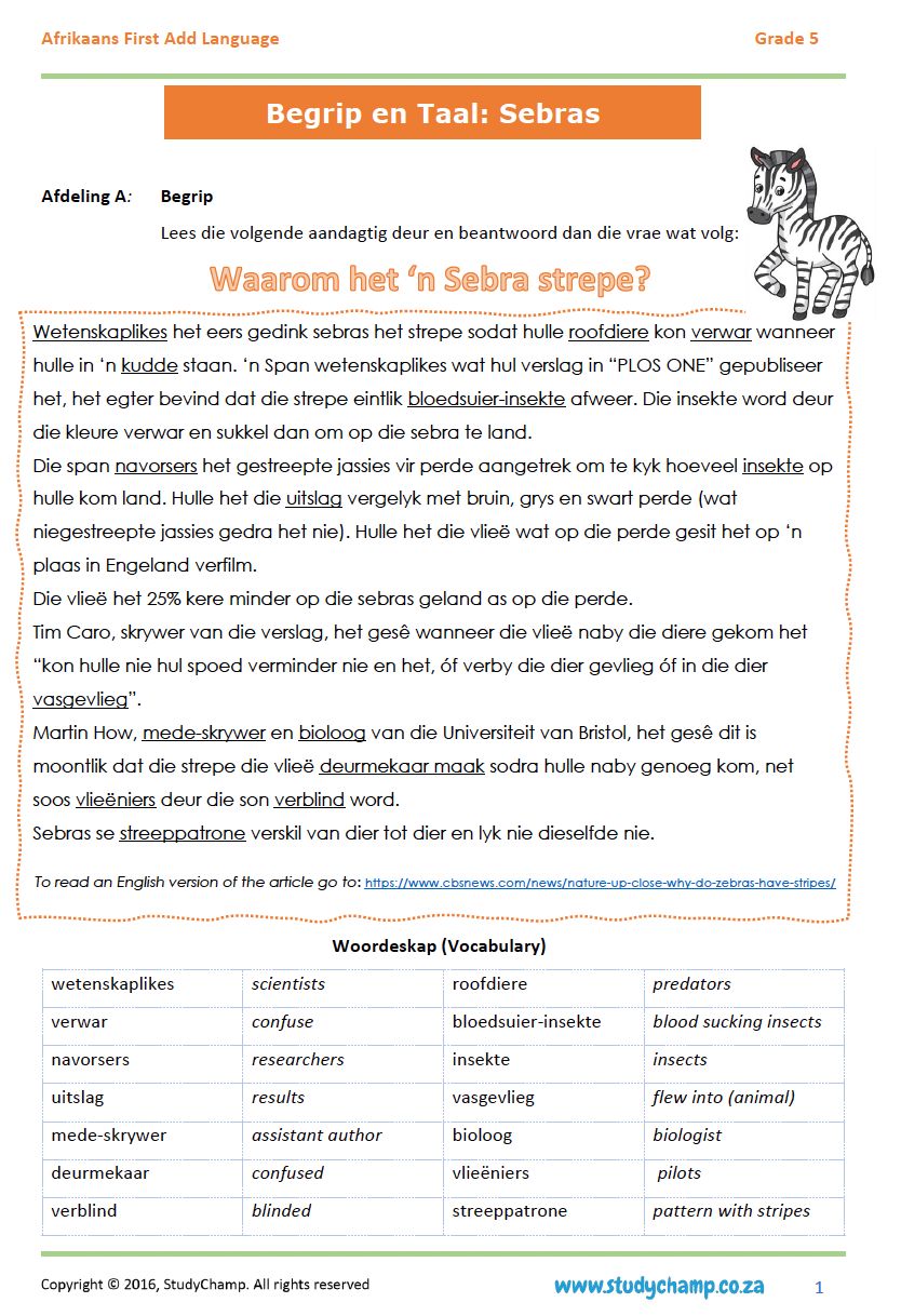 Grade 5 Afrikaans First Additional Language Bundle