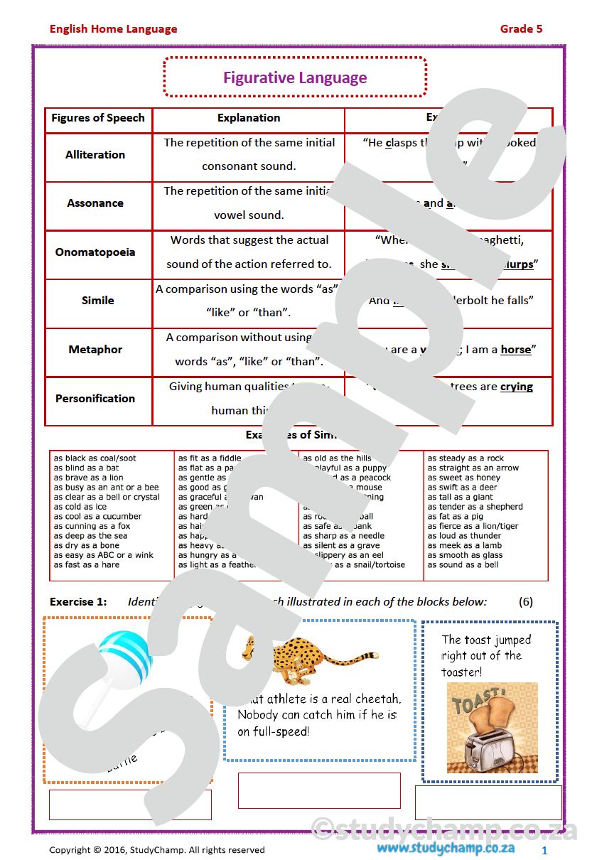 Grade 5 English Home Language Bundle