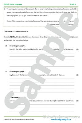 Grade 9 English Home Language Bundle