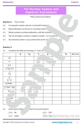 Grade 10 Mathematics Bundle