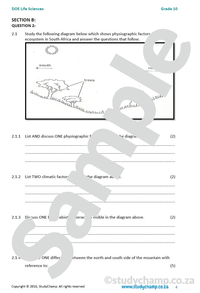 Grade 10 DOE Life Sciences Bundle