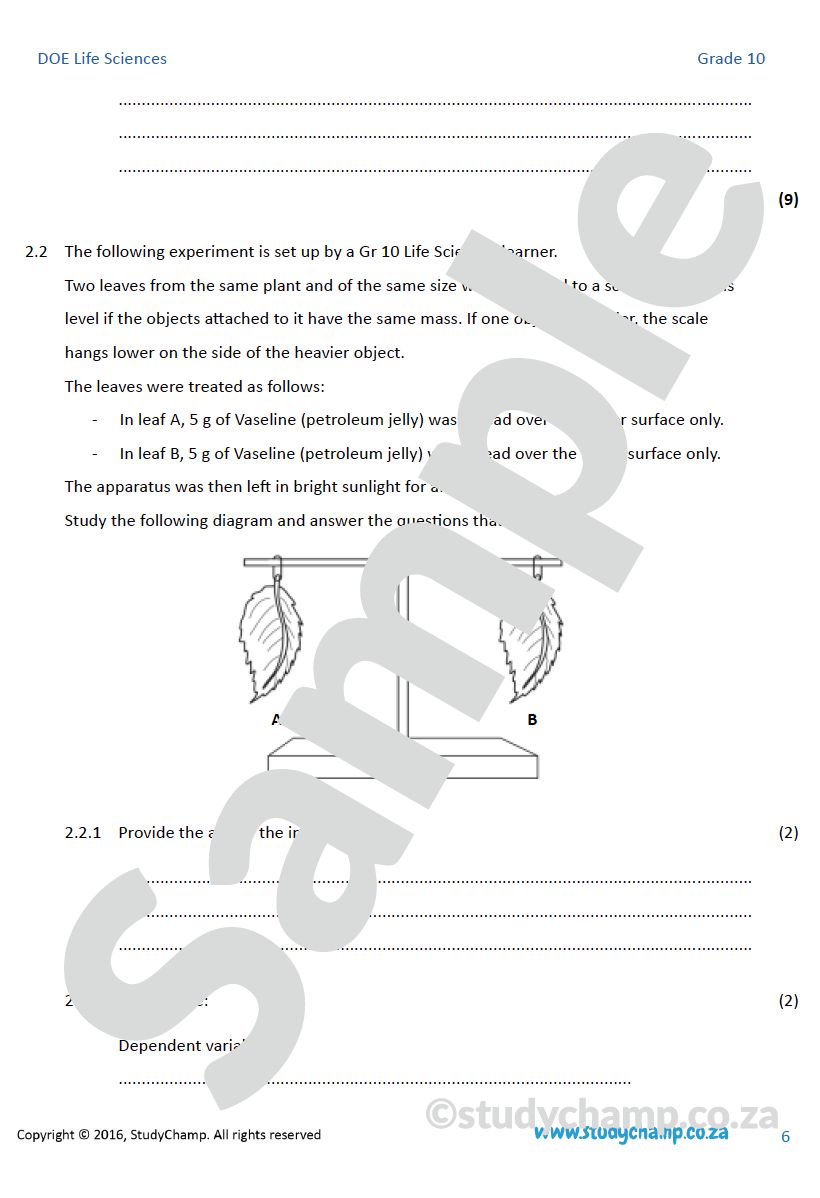 Grade 10 DOE Life Sciences Bundle