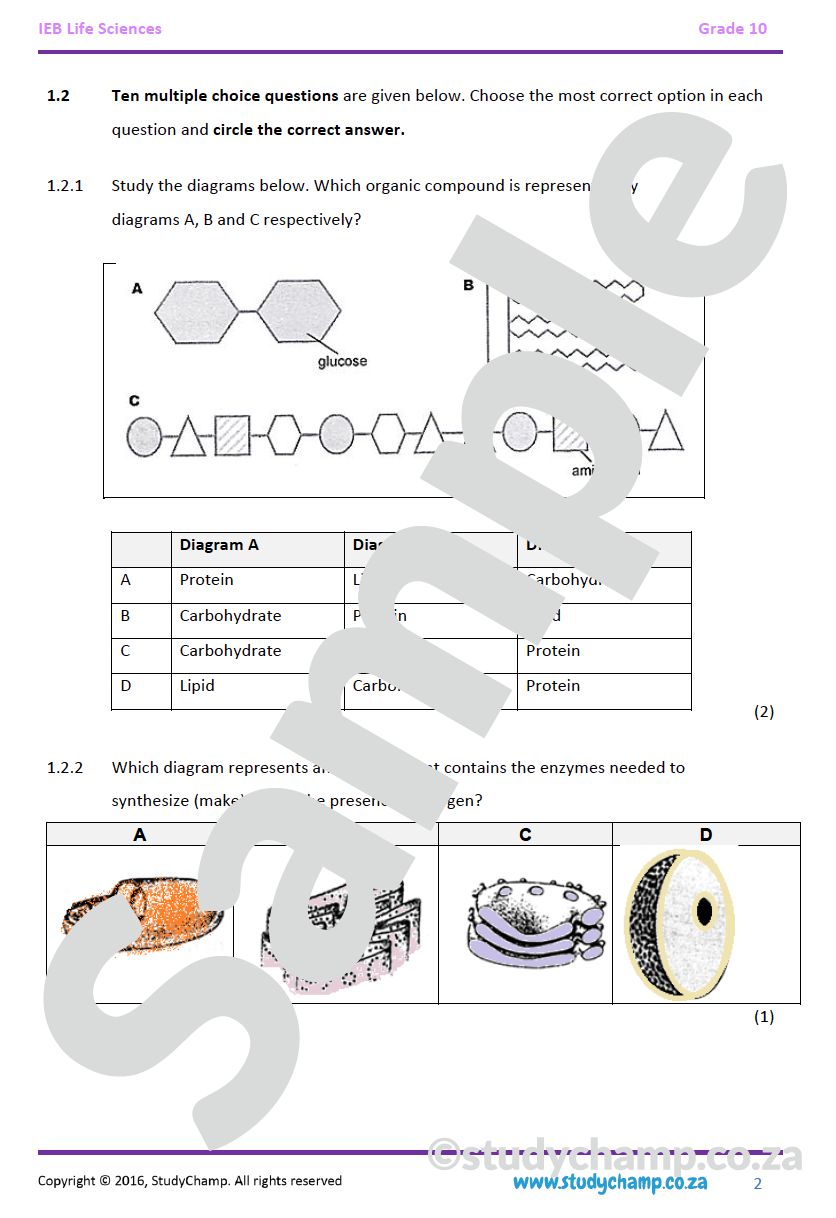 Grade 10 IEB Life Sciences Bundle